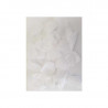 100 Petalos Color Blanco