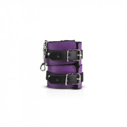 Secret Pleasure Chest Purple Apprentice