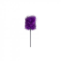 Secret Pleasure Chest Purple Apprentice