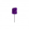 Secret Pleasure Chest Purple Apprentice