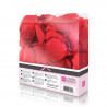 Loverspremium Cama de Rosas Color Rojo