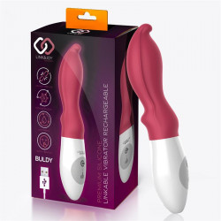 Buldy Controller Vibrador