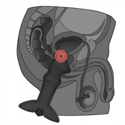 Plug Anal Prostate con Vibracion Stud Negro