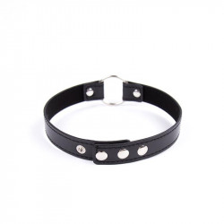 Collar con Aro Ajustable 382 cm Negro